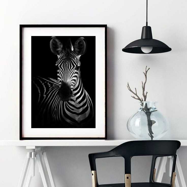 Quadro Fotografia Zebra - 60x48 Cm