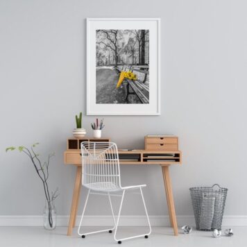 Quadro Central Park Flores Amarelas - 60x48 Cm B