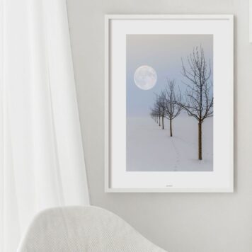 Quadro Fotografia Paisagem Neve - 60x48 Cm B