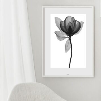 Quadro Minimalista Flor Transparente P&B - 60X48 Cm B