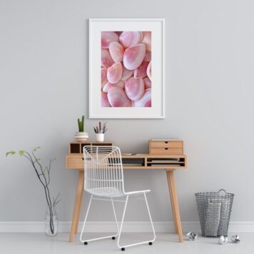 Quadro Praia Conchas Rosas - 60x48 Cm B