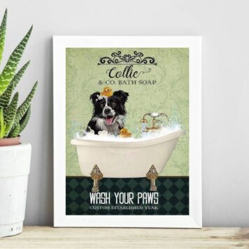 Quadro Decorativo Banheiro Border Collie