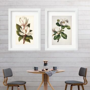 Kit 2 Quadros Flores Magnólias- 60x48 Cm B