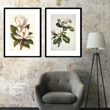 Kit 2 Quadros Flores Magnólias- 60x48 Cm