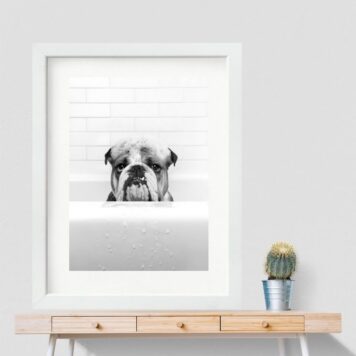 Quadro Banheiro Bulldog Inglês - 60x48 Cm B