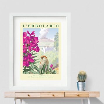 Quadro Passarinho Com Flor Rosa - 60x48 Cm B