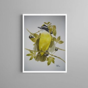 Quadro Decorativo Passarinho Bem Te Ví B