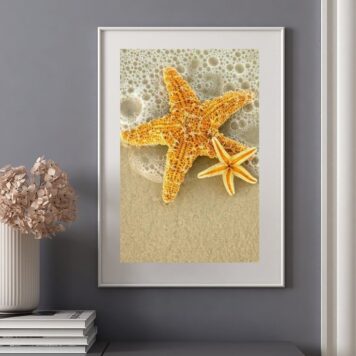 Quadro Estrelas Do Mar Amarelas - 60x48 Cm B