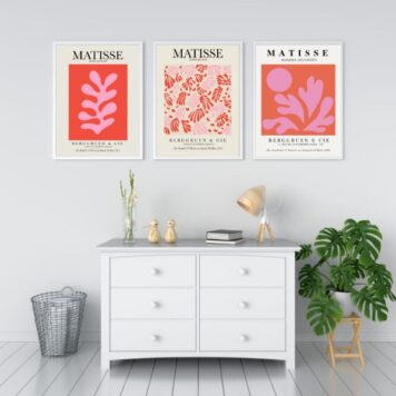 Kit 3 Quadros Matisse Coral Floral B