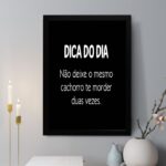 Quadro Decorativo Dica Do Dia
