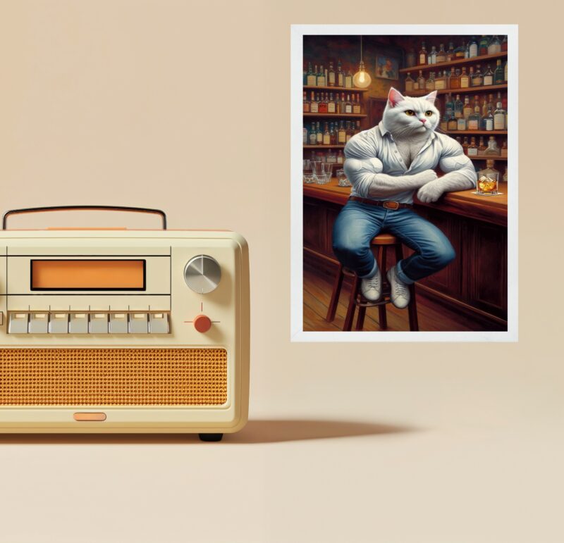Quadro Decorativo Gato Bombado