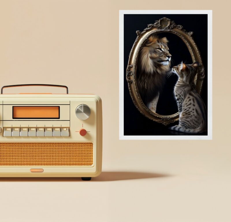Quadro Gato Olhando Espelho Vendo Leão