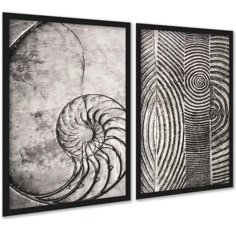 Kit 2 Quadros Decorativos Fibonacci Conchas Cinzas