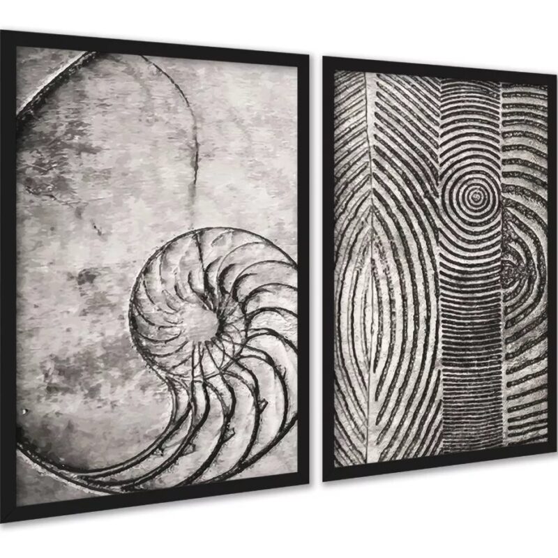 Kit 2 Quadros Decorativos Fibonacci Conchas Cinzas