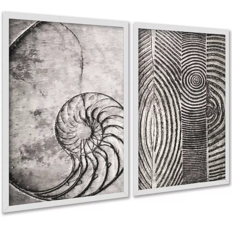 Kit 2 Quadros Decorativos Fibonacci Conchas Cinzas