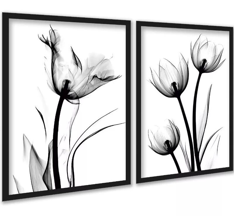 Kit 2 Quadros Fotos Flores Tulipas Minimalistas