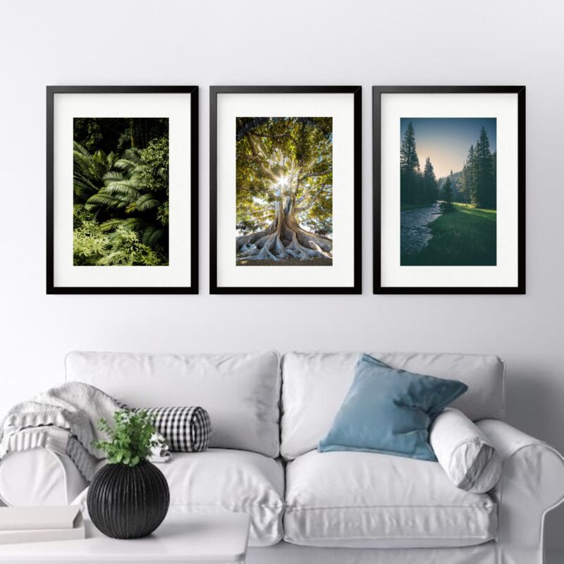 Kit 3 Quadros Grandes Árvores - 60x48cm