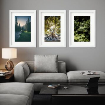 Kit 3 Quadros Grandes Árvores - 60x48cm b