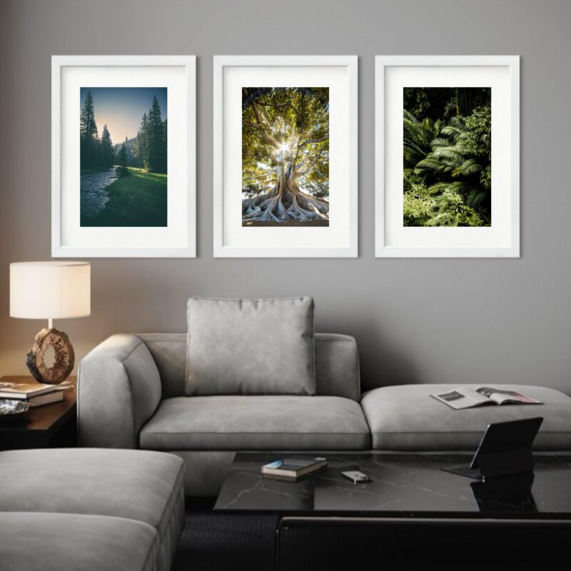 Kit 3 Quadros Grandes Árvores - 60x48cm b
