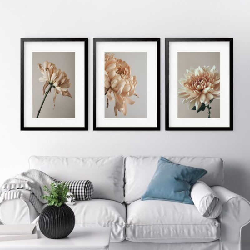 Kit 3 Quadros Grandes Flores Beges - 60x48cm