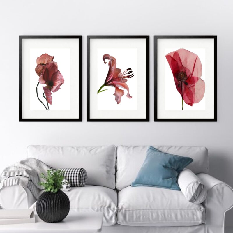 Kit 3 Quadros Grandes Flores Marsala - 60x48cm