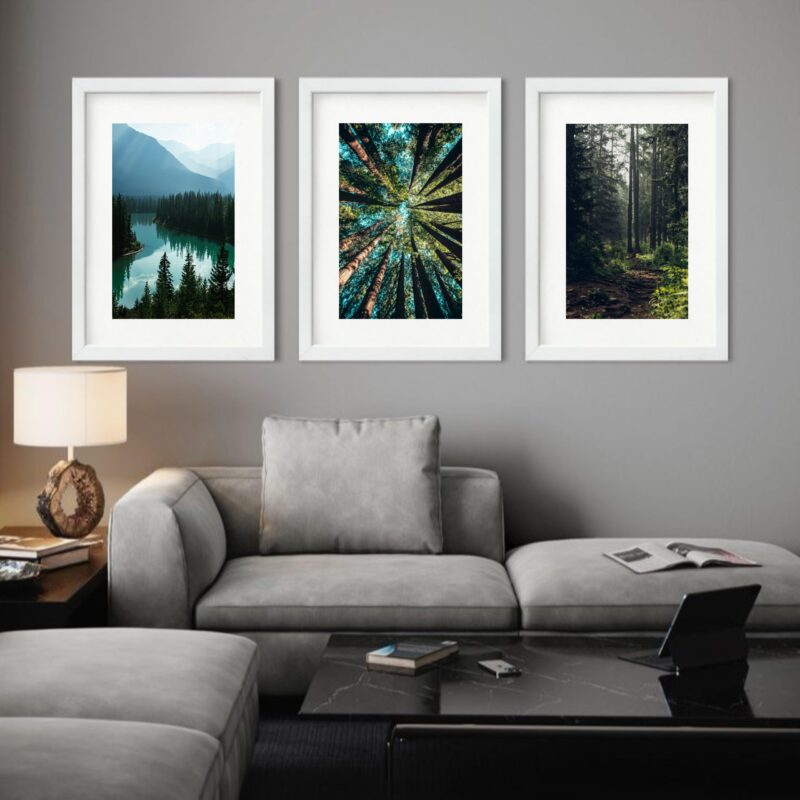 Kit 3 Quadros Grandes Florestas - 60x48cm b