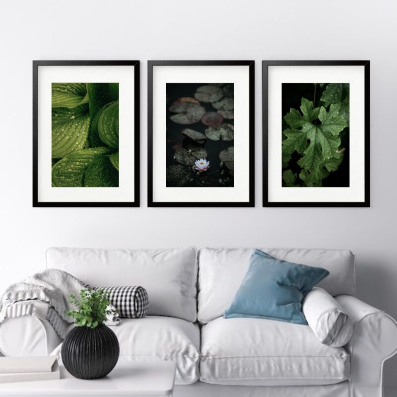 Kit 3 Quadros Grandes Folhas - 60x48cm
