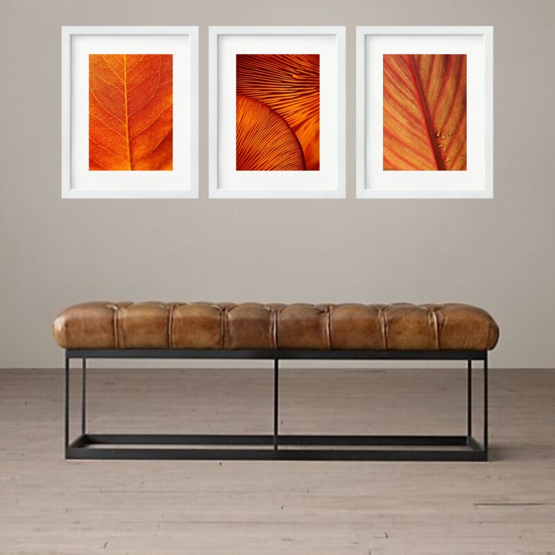Kit 3 Quadros Grandes Orange Leafs 60x48cm b