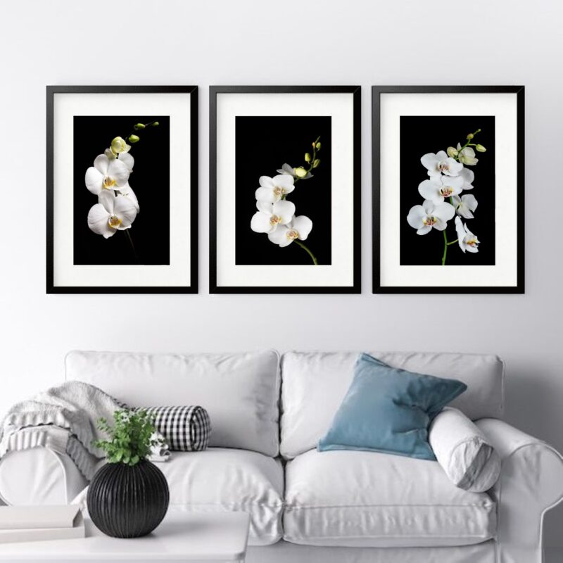 Kit 3 Quadros Grandes Orquídeas Brancas - 60x48cm