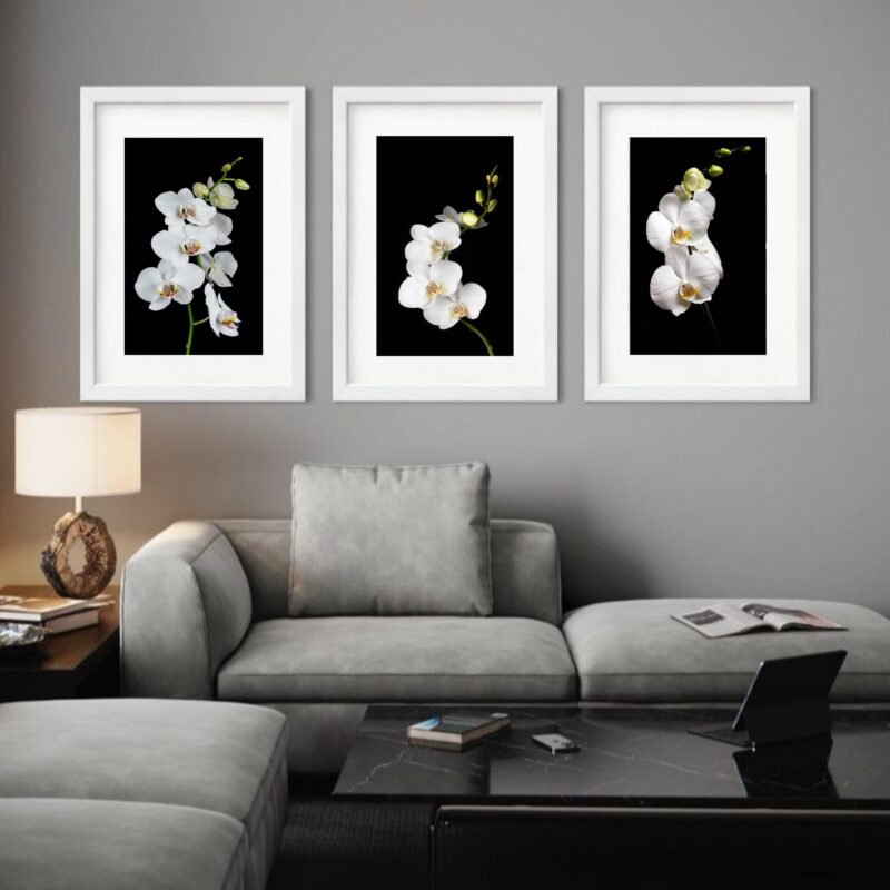 Kit 3 Quadros Grandes Orquídeas Brancas - 60x48cm - Image 2