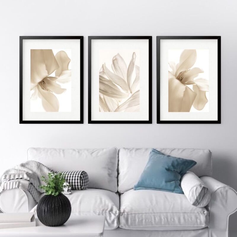 Kit 3 Quadros Grandes Pétalas Flores Beges - 60x48cm