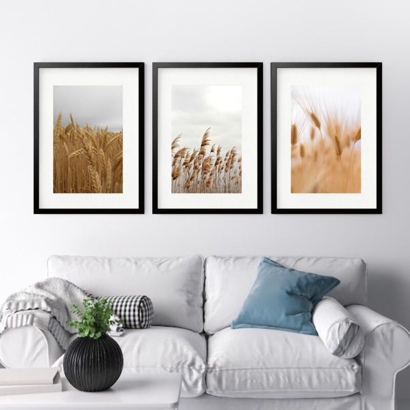 Kit 3 Quadros Grandes Trigo - 60x48cm