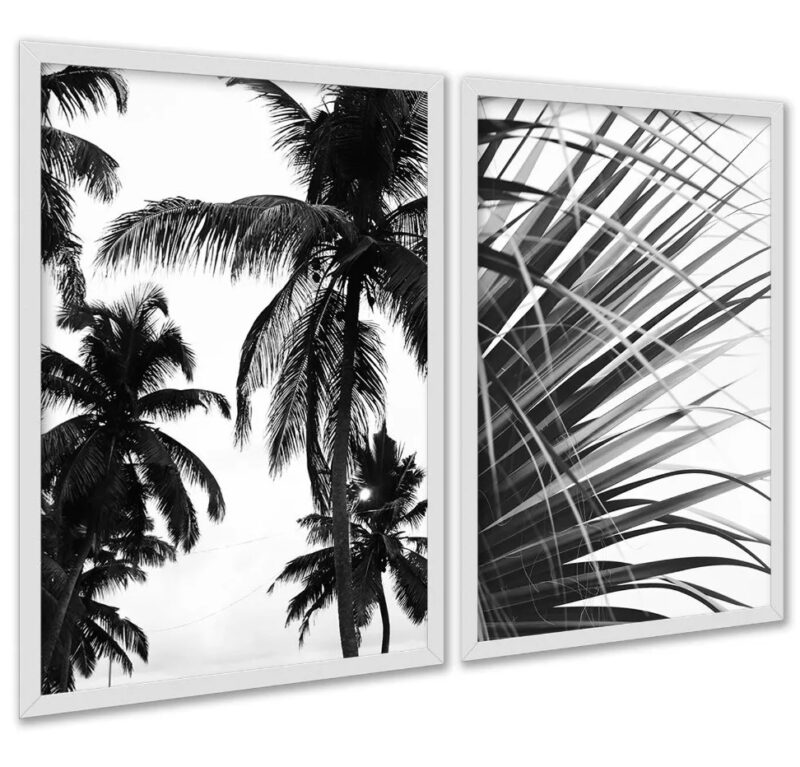 Kit 2 Quadros Coqueiro Planta Preto e Branco