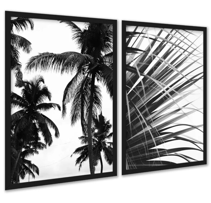 Kit 2 Quadros Coqueiro Planta Preto e Branco