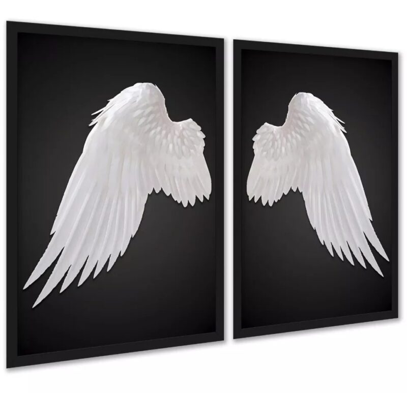 Kit 2 Quadros Decorativos Asas De Anjo