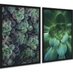 Kit 2 Quadros Decorativos Suculentas