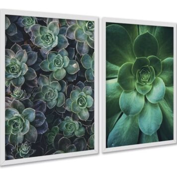 Kit 2 Quadros Decorativos Suculentas