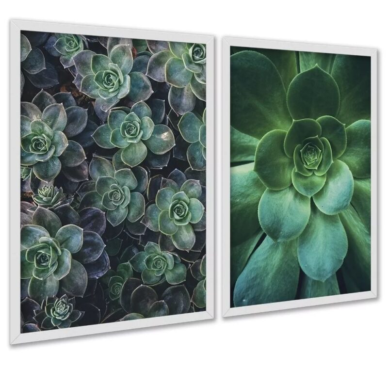 Kit 2 Quadros Decorativos Suculentas
