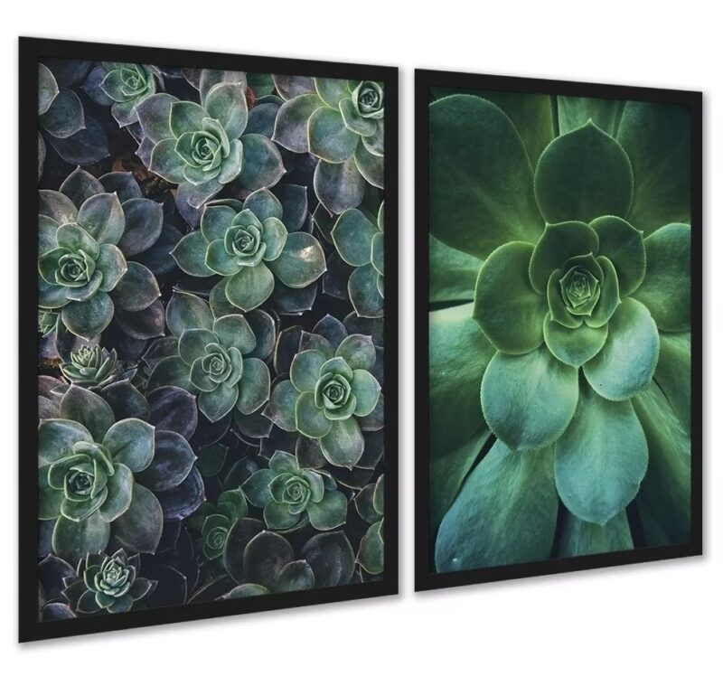 Kit 2 Quadros Decorativos Suculentas
