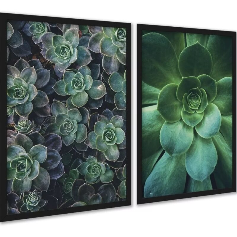 Kit 2 Quadros Decorativos Suculentas