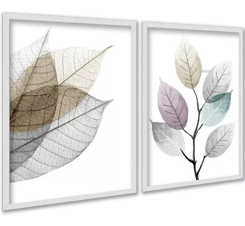 Kit 2 Quadros Modernos Folhas Transparentes