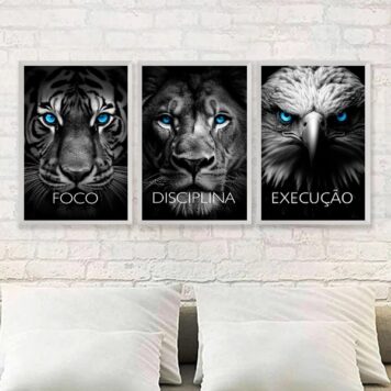 Kit 3 Quadros Animais Disciplina Foco Execução