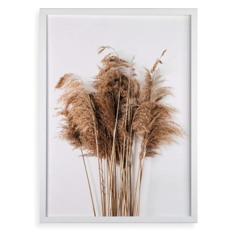 Quadro Decorativo Capim Dos Pampas - Plumas