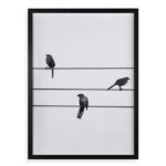 Quadro Decorativo Pássaros No Fio