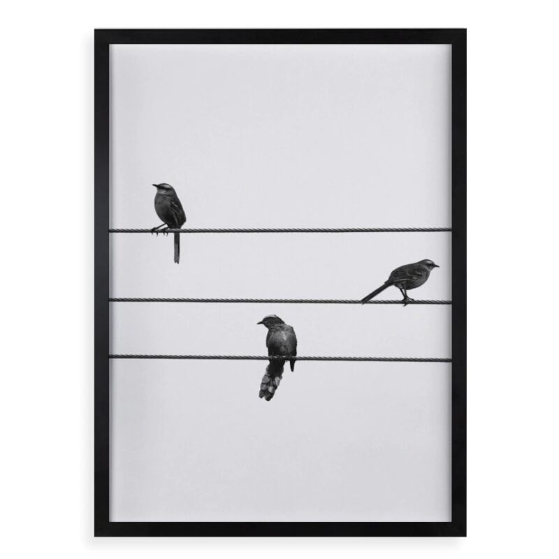 Quadro Decorativo Pássaros No Fio