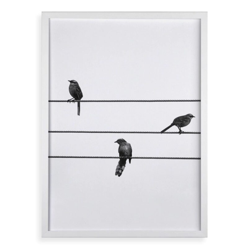 Quadro Decorativo Pássaros No Fio