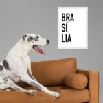 Quadro Decorativo Tipografia Brasília