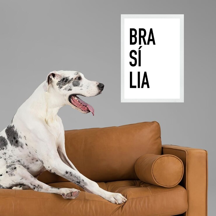 Quadro Decorativo Tipografia Brasília