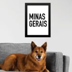 Quadro Decorativo Tipografia Minas Gerais