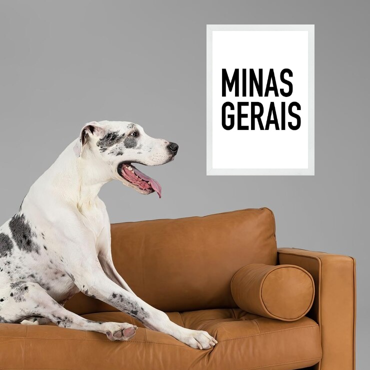 Quadro Decorativo Tipografia Minas Gerais